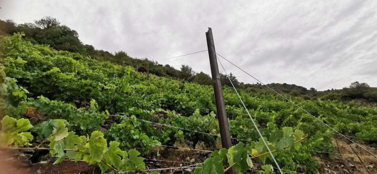 Vina Cazoga Βίλα Sober Εξωτερικό φωτογραφία