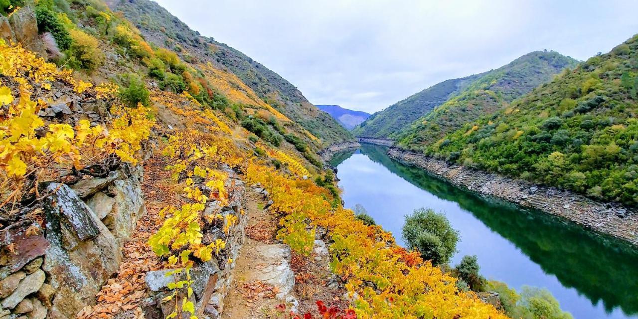 Vina Cazoga Βίλα Sober Εξωτερικό φωτογραφία